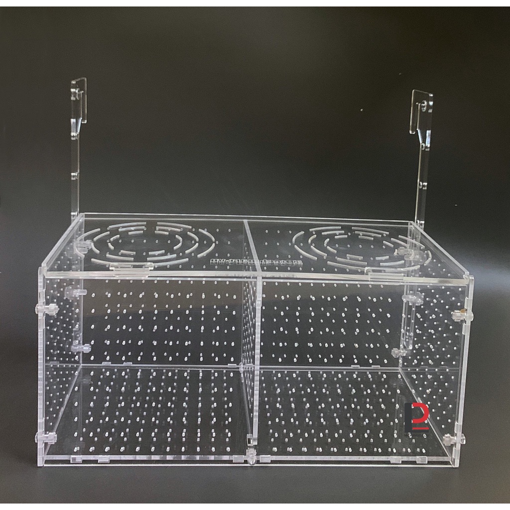 Box tép, Lồng dưỡng tép/ cá treo thành bể 2 ngăn xịn xò