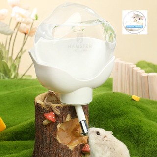 Bình nước Balloon Hamster, Trang trí lồng cho chuột Hamster, Chinchilla . Thỏ