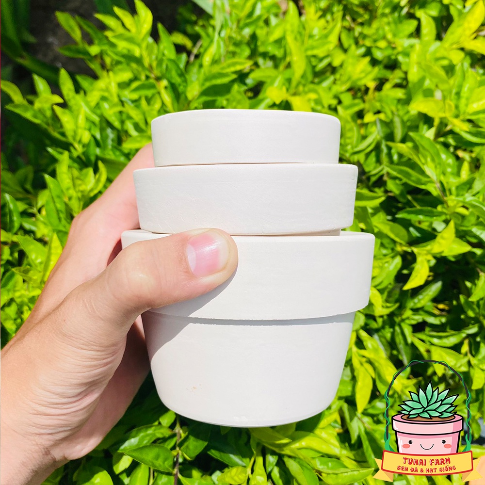 Chậu đất nung mini trồng sen đá, xương rồng (TRẮNG) - Nhiều Size