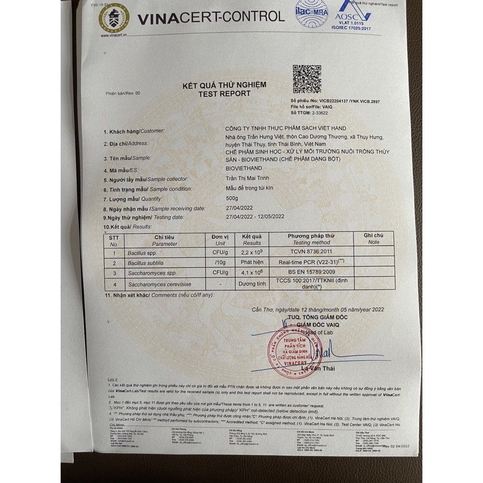 Men vi sinh Việt Hand Xử Lý Đáy Cho Ao Nuôi Thủy Sản Bio Viethand - VIETHAND 200g