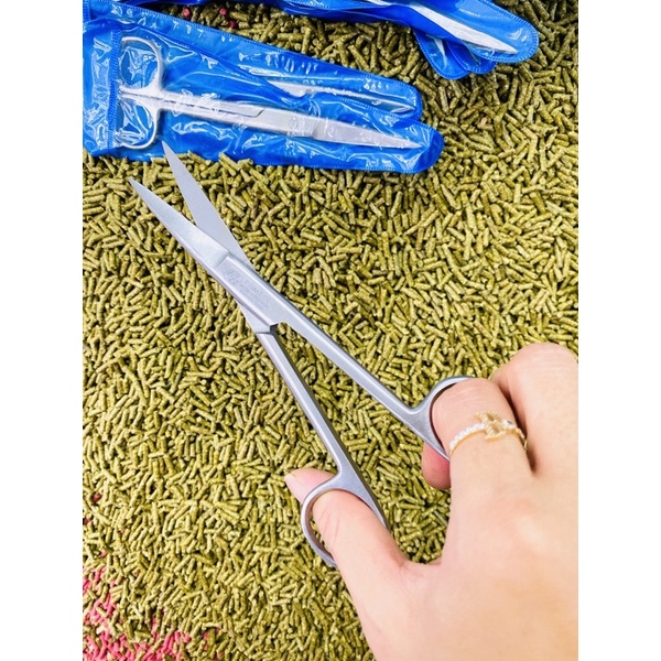 Kéo cong tỉa lông gà