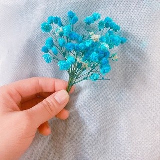 Hoa Baby mini, Hoa khô làm thiệp, đồ handmade