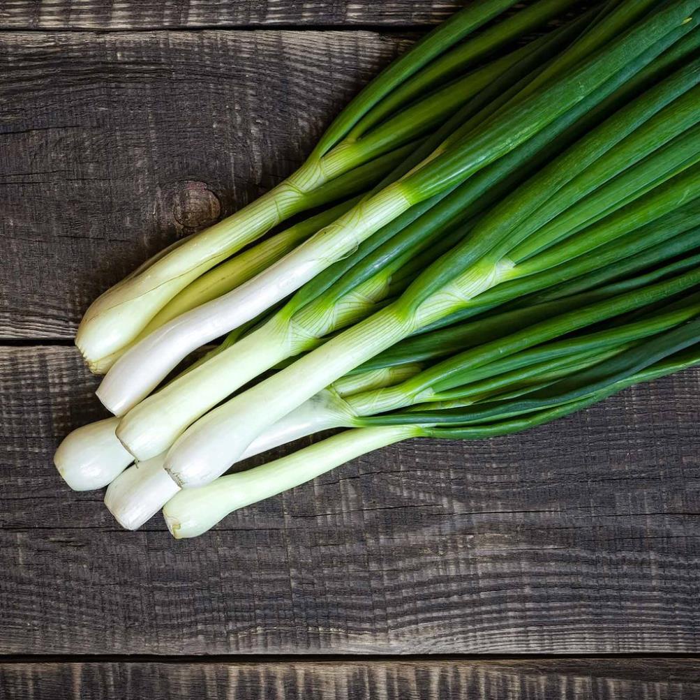 Hạt giống hành tây Nhật Bản 50 hạt