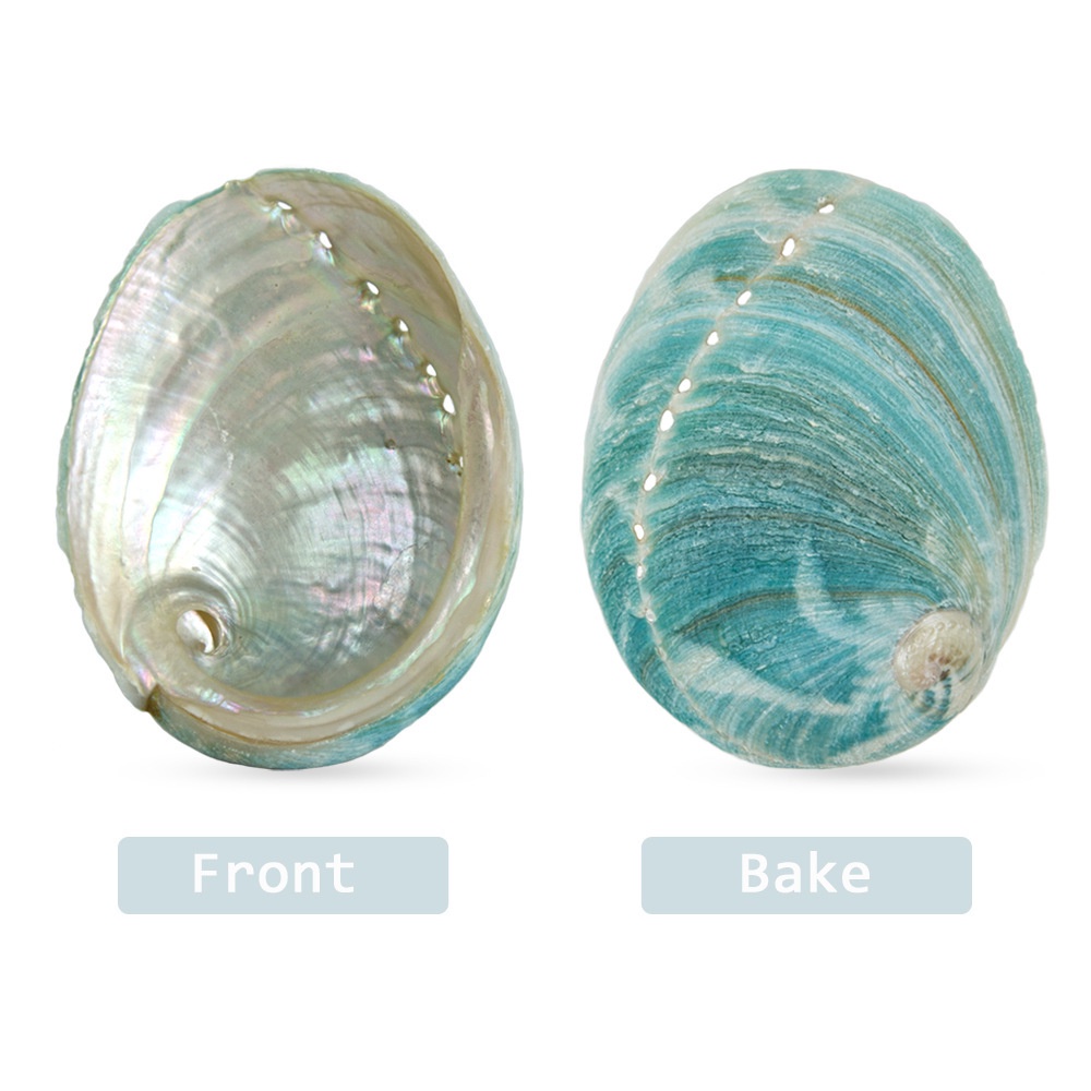 Đĩa vỏ ốc xà cừ - Đĩa đốt xô thơm các loại - palo santo - Nhựa cây