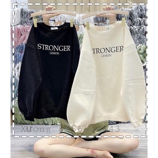 Áo nỉ bông sweater in chữ