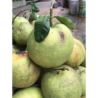 Hàng khách sỉ tạo combo