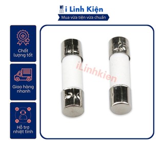 Cầu chì sứ 2A 6x30mm túi 10 con.
