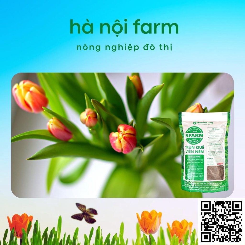 Phân trùn quế dạng VIÊN Sfarm Đặng Gia Trang 1kg, phân tan chậm dành cho hoa lan cây cảnh