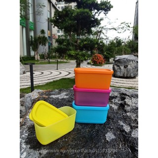 BỘ HỘP MINI RECTANGULAR 250ML (4)