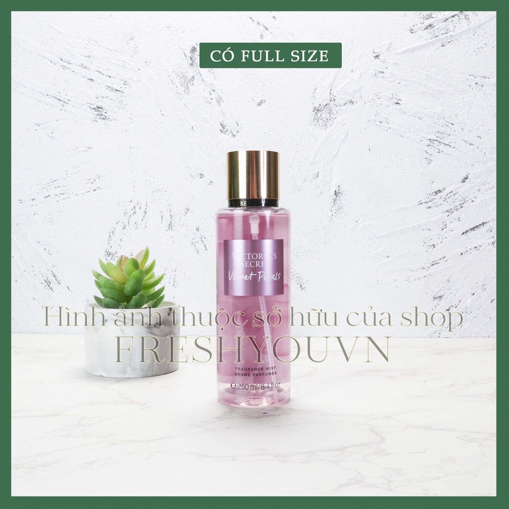 Velvet Petals - Xịt thơm toàn thân body mist Victoria's Secret khác - fresh you