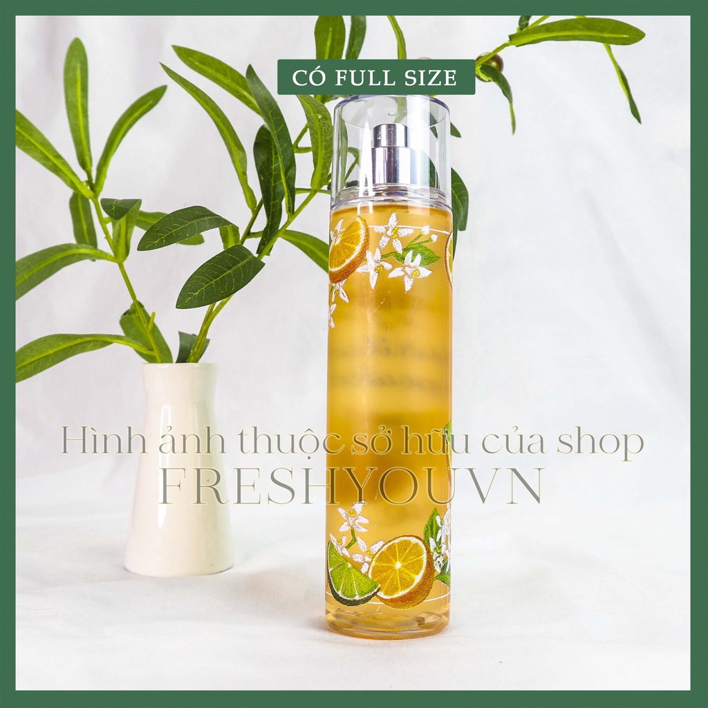 Margarita Cupcake Full Size Xịt Thơm Toàn Thân Bath & Body Works