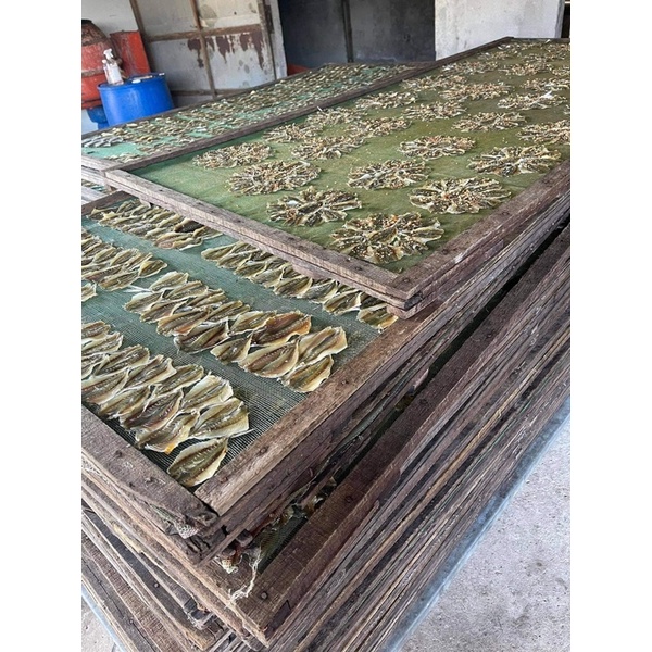 KHÔ CÁ CHỈ VÀNG CÀ MAU con lớn, thịt dầy, tẩm vị thơm ngon
