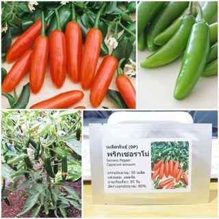 Hạt giống ớt Serrano ngọt 15 hạt