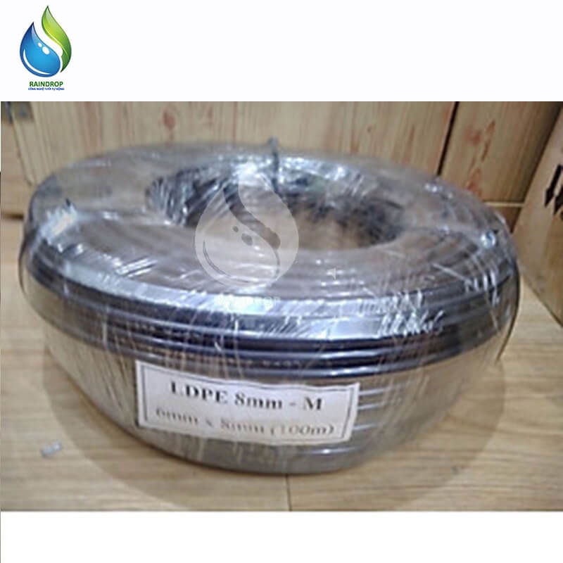 Cuộn 100m dây PE 8mm