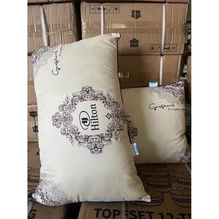 Ruột Gối Hitton Trắng Cao Cấp