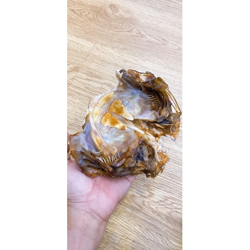 Đầu khô cá rún