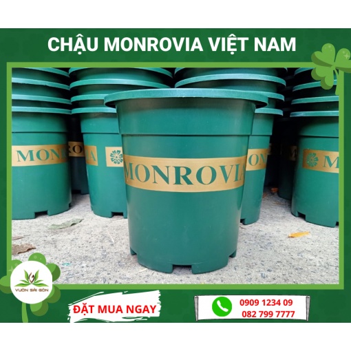 Chậu 7 galon( Miệng39xđáy30xcao40cm) Việt Nam - (Green City)