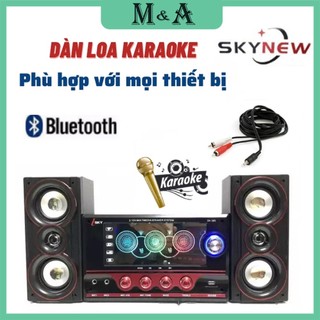Loa bluetooth - loa để bàn hát karaoke có kết nối bluetooth usb skynew - skn395 - hàng chính hãng - bảo hành 12 tháng