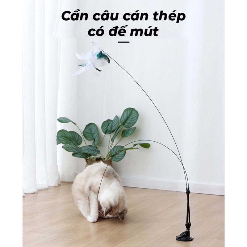 Đồ chơi cần câu mèo dính sàn