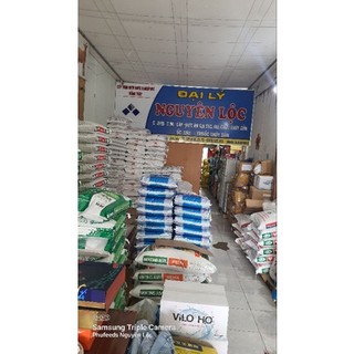 Combo 4kg cám cá chình thức ăn lươn bột