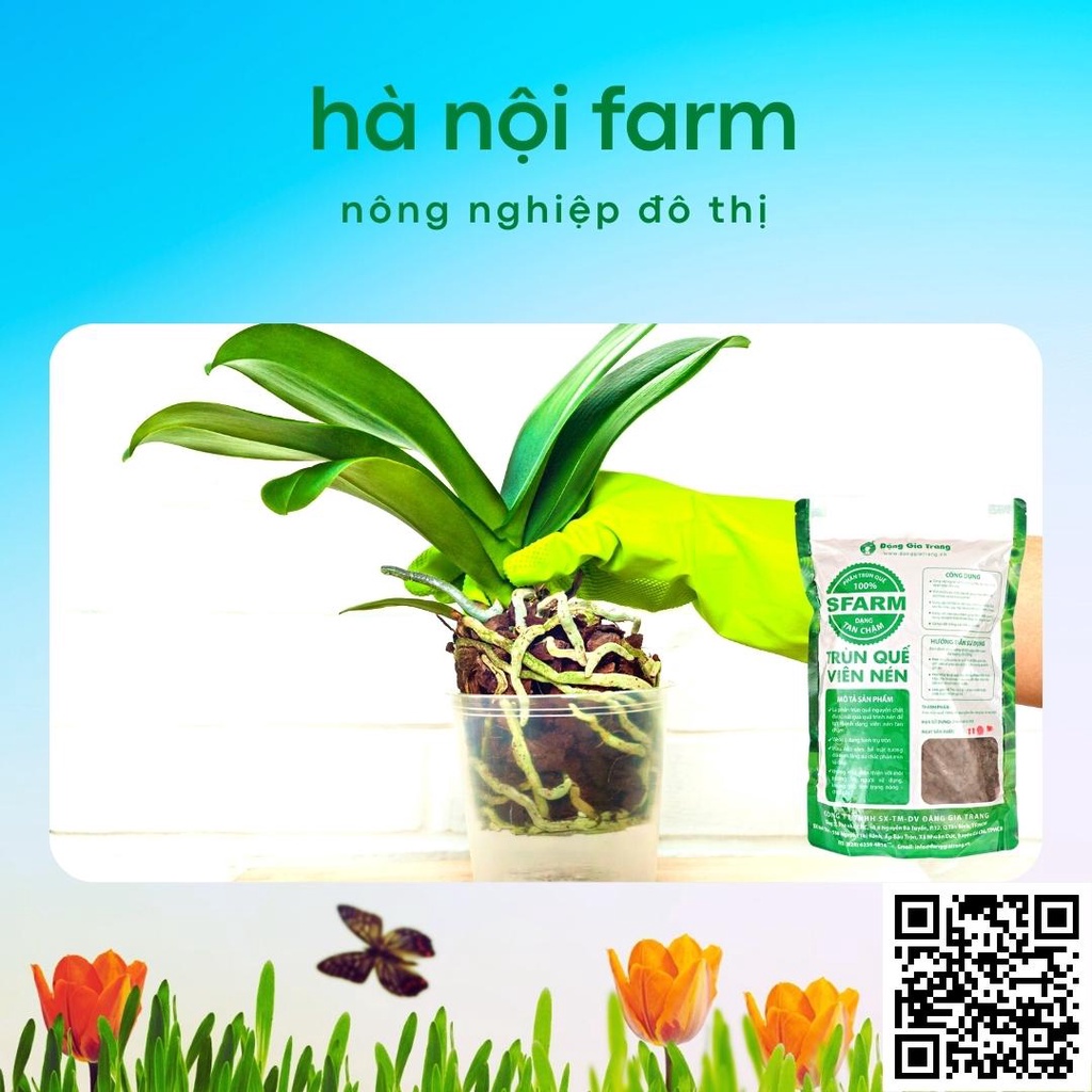 Phân trùn quế dạng VIÊN Sfarm Đặng Gia Trang 1kg, phân tan chậm dành cho hoa lan cây cảnh