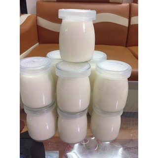 Bộ 12 hủ làm sữa chua_ Yogurt