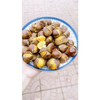 Hạt dẻ tươi ( ngọt bùi cơm vàng) 1kg