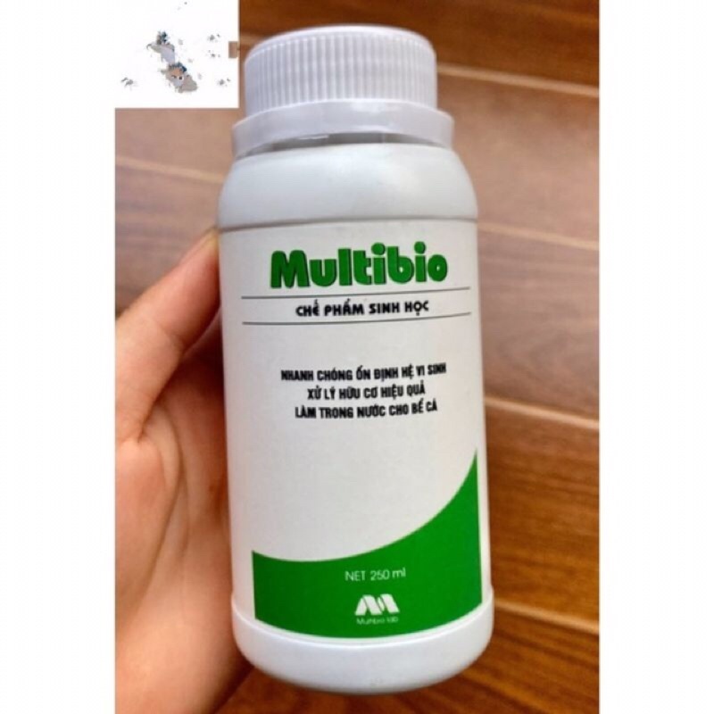 Vi sinh Multibio làm trong nước hồ cá