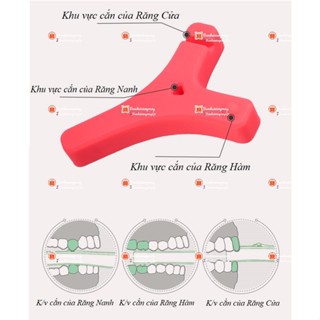 Cục cắn vị trái cây hỗ trợ Niềng răng, Niềng trong suốt - Invisalign, Thanh cắn vị trái cây