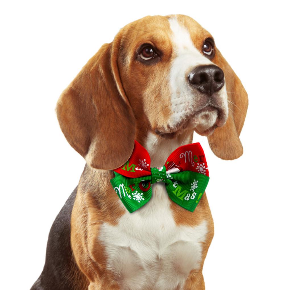 Vòng Cổ, Có Thể ĐiềU ChỉNh Cho Thú Cưng - Bộ 2 CáI