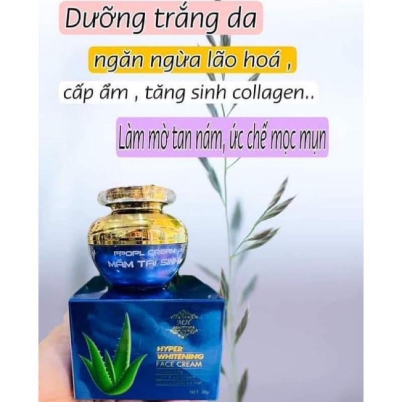 Kem mầm tái sinh  mh spa