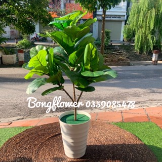 Cây giả - cây bàng Singapore giả và cây chuối giả cảnh decor siêu xinh
