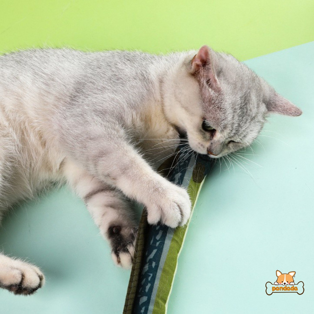 Đồ Chơi Nhiều Kiểu Màu Sắc Cho Mèo Cưng Mài Răng