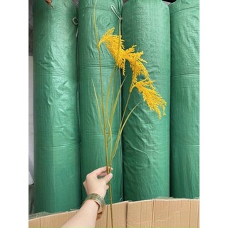 {Giá xưởng} Combo 10 cành lúa vàng 90cm 3 bông hàng cao cấp