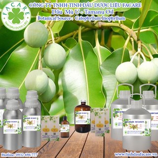 Dầu mù u Tamanu oil - 100ml