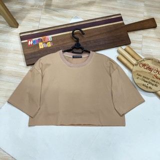 Áo Croptop Trơn Màu Nude Tay Lỡ Form Rộng Oversize Ulzzang - MM