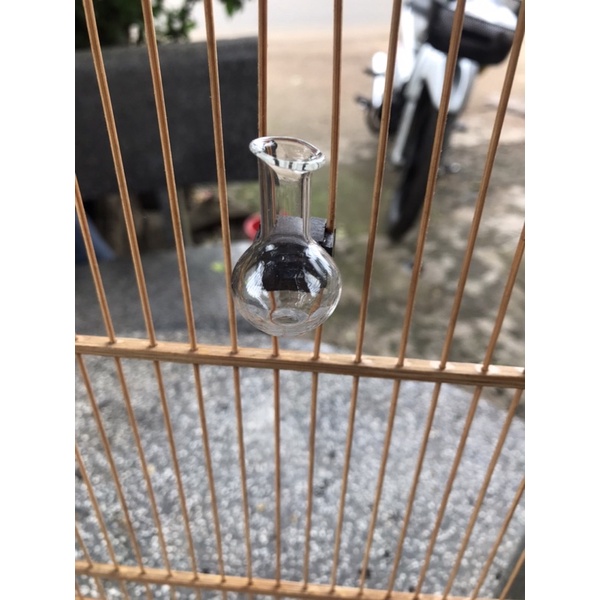 Cóng thuỷ tinh sọc dày tai mun dành cho khuyên, sâu đầu đỏ, hút mật