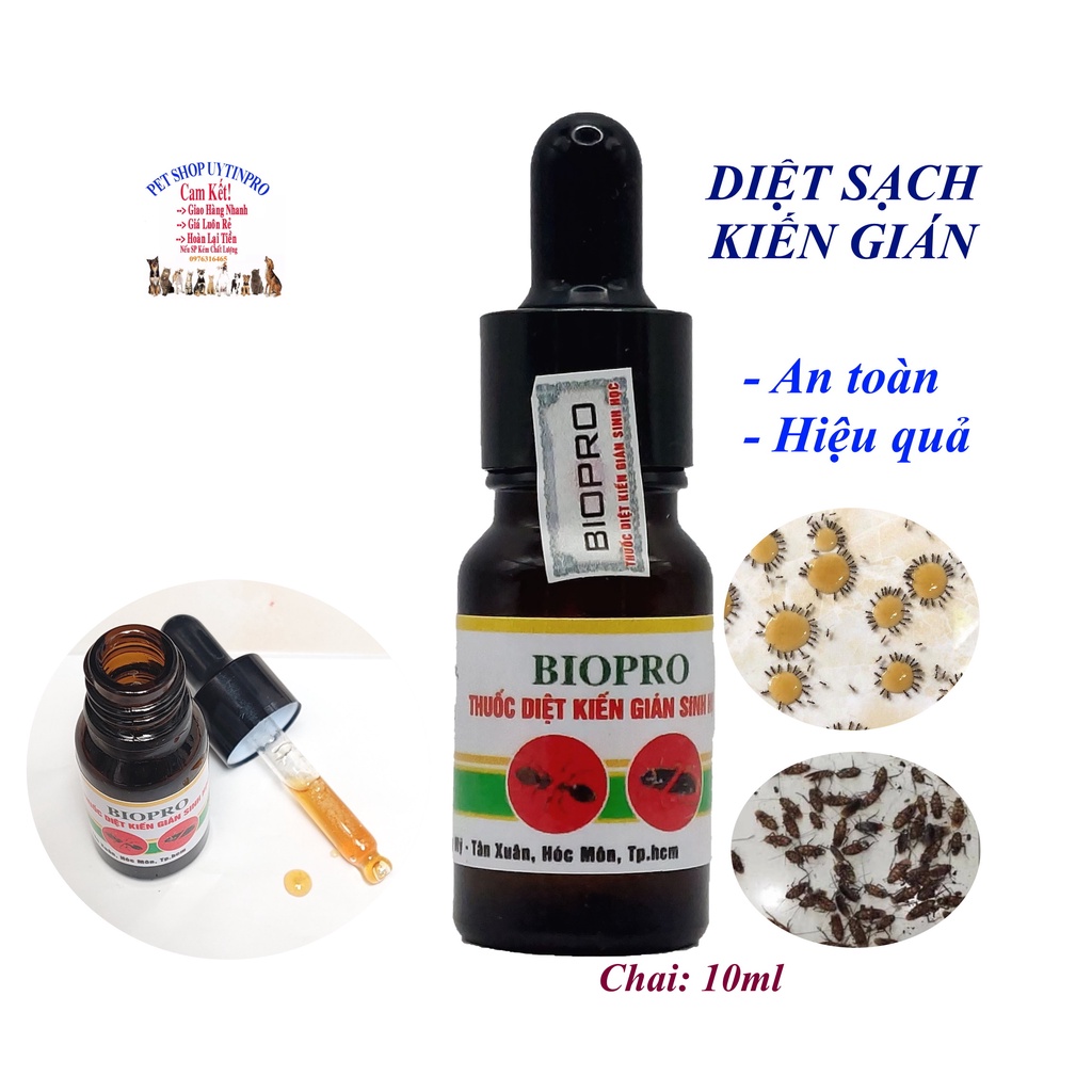 Thuốc diệt kiến gián sinh học BioPro Chai 10ml Dạng nhỏ giọt đậm đặc Giúp diệt sạch kiến gián tận gốc