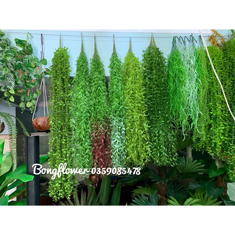 Dây Cúc Tần Ấn Độ Giả Dài 100cm một cụm 5 nhánh Trang Trí Decor Siêu Đẹp | BigBuy360 - bigbuy360.vn