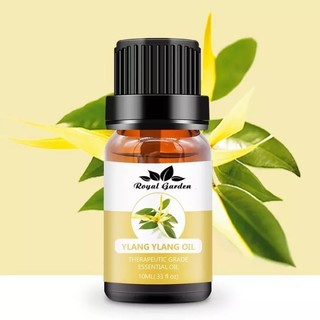 Tinh dầu ngọc lan tây ylang ylang essential oil 50ml nhập khẩu ấn độ