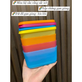 BỘ HỘP MINI RECTANGULAR 250ML (4)