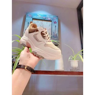 Giầy thể thao da mềm đế độn cao 5 phân hàng Quảng châu