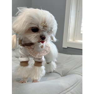 Áo liền thân kèm yếm họa tiết động vật dành cho thú cưng