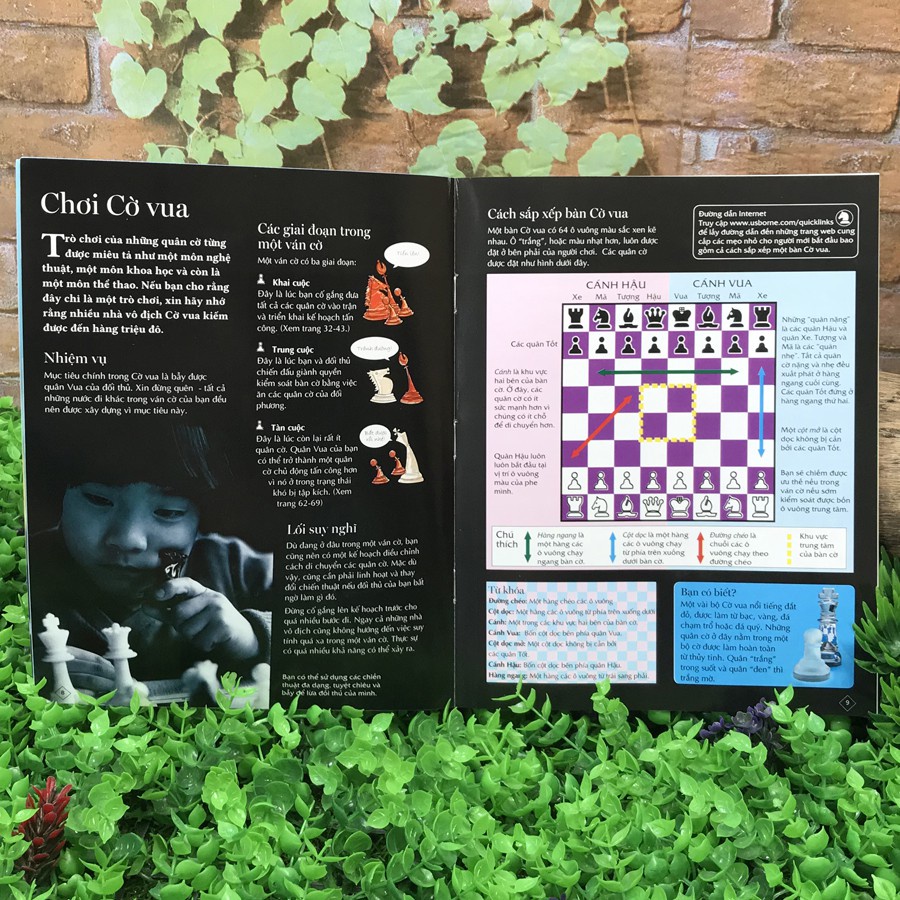 Combo Sách Chơi cờ vua cùng bé - Bộ 3 cuốn