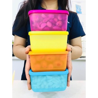 BỘ HỘP MINI RECTANGULAR 250ML (4)