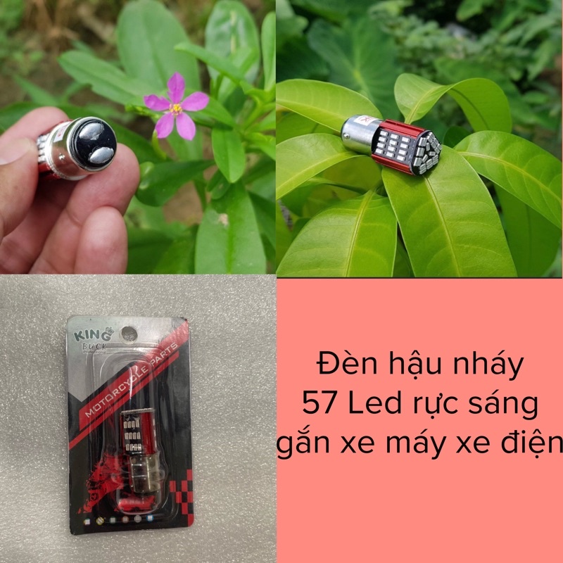 Bóng đèn hậu nháy xe điện xmen wave 50 110 sirius ex 150 dream cub vision airblade stop f1