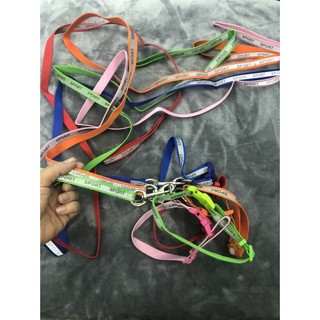 Dây dắt chó mèo kèm vòng cổ Sport có vạch phản quang thanh lý giá rẻ