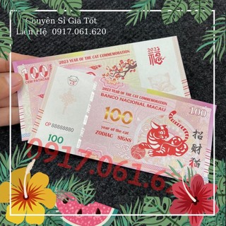 Combo 50 tờ con mèo lưu niệm quà tết 2023