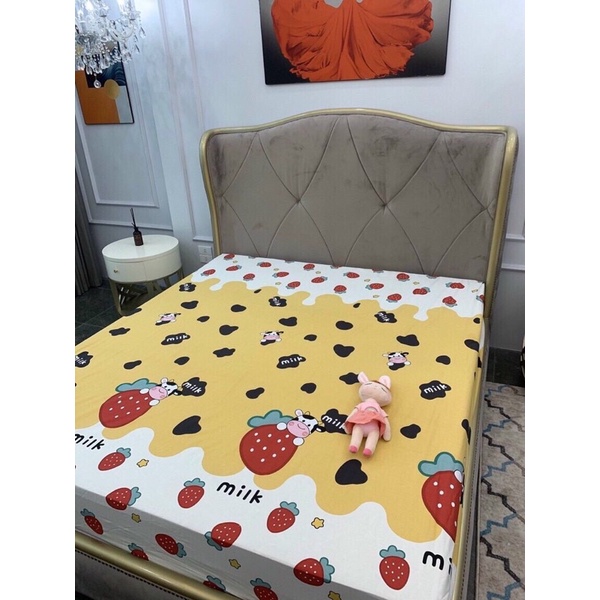 Ga chống thấm cotton cho bé  Drap trải giường bọc đệm chống thấm nước  1m2 1m6 1m8 2m2