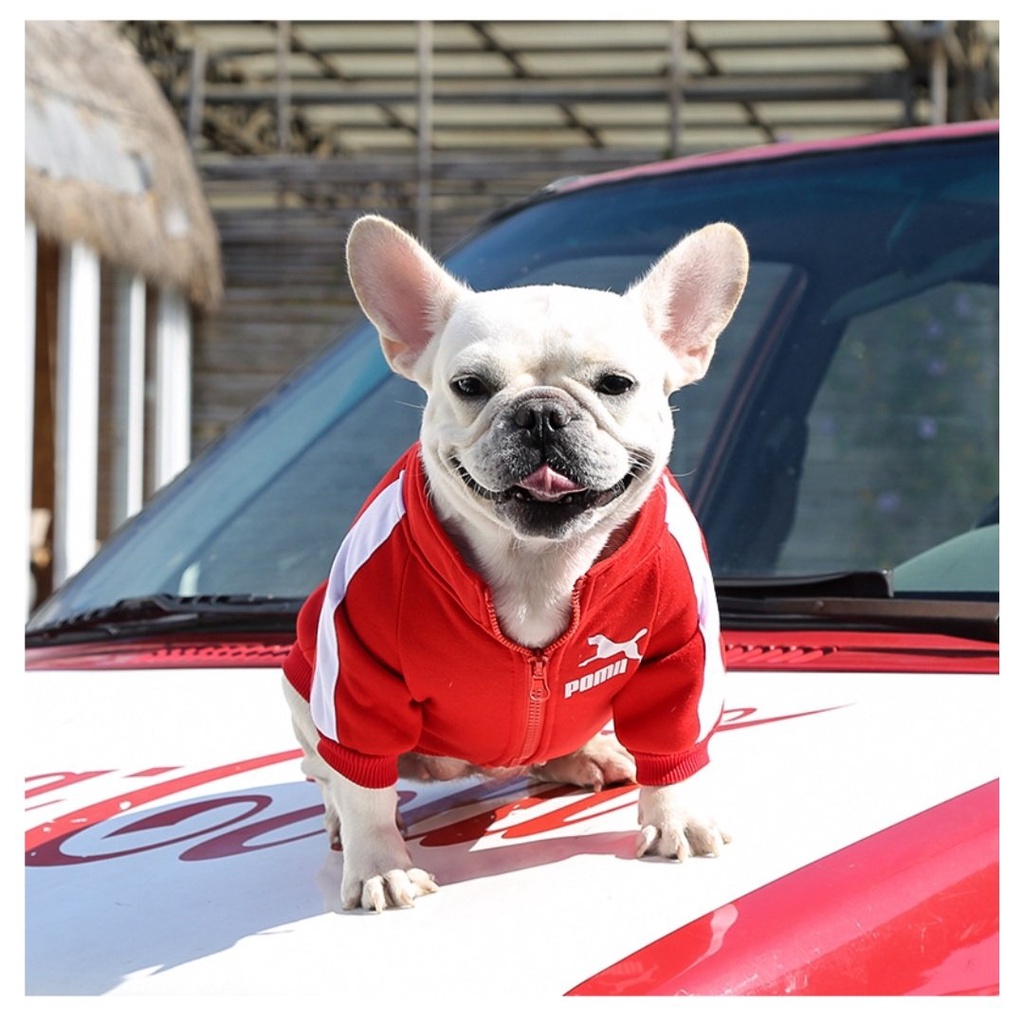 Áo Nỉ Kéo Khóa Phong Cách Thể Thao Kool Ngầu - Áo cho Chó Mèo Thú Cưng - Hàng Loại 1 Xịn Xò